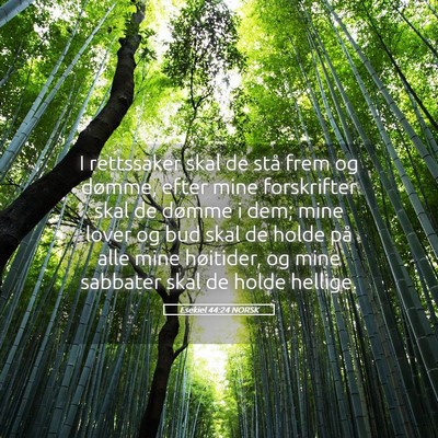 Picture 05 - Esekiel 44:24 NORSK - I rettssaker skal de stå frem og dømme, efter - Bible Verse Picture