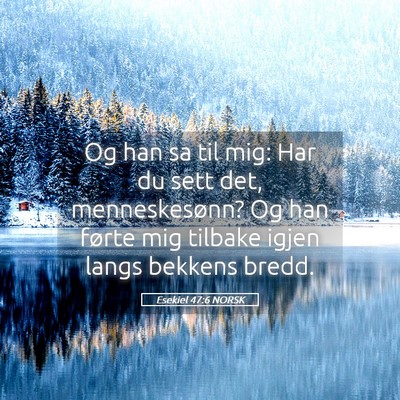 Picture 05 - Esekiel 47:6 NORSK - Og han sa til mig: Har du sett det, - Bible Verse Picture