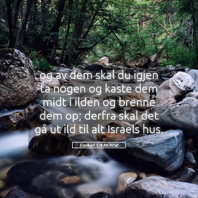 Picture 05 - Esekiel 5:4 NORSK - og av dem skal du igjen ta nogen og kaste dem - Bible Verse Picture