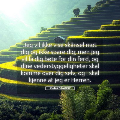 Picture 05 - Esekiel 7:4 NORSK - Jeg vil ikke vise skånsel mot dig og ikke spare - Bible Verse Picture