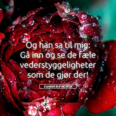 Picture 05 - Esekiel 8:9 NORSK - Og han sa til mig: Gå inn og se de fæle - Bible Verse Picture