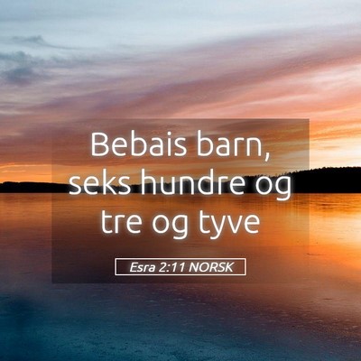 Picture 05 - Esra 2:11 NORSK - Bebais barn, seks hundre og tre og - Bible Verse Picture