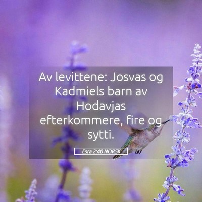Picture 05 - Esra 2:40 NORSK - Av levittene: Josvas og Kadmiels barn av Hodavjas - Bible Verse Picture