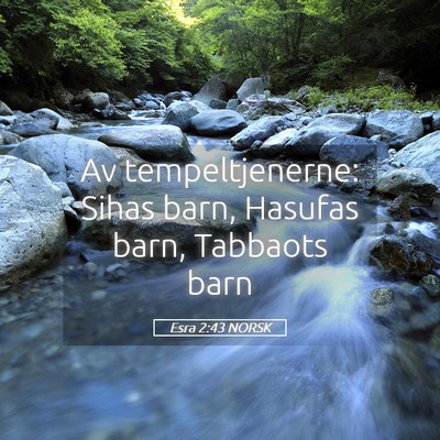 Picture 05 - Esra 2:43 NORSK - Av tempeltjenerne: Sihas barn, Hasufas barn, - Bible Verse Picture