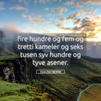 Picture 05 - Esra 2:67 NORSK - fire hundre og fem og tretti kameler og seks - Bible Verse Picture