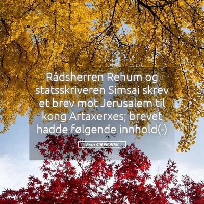 Picture 05 - Esra 4:8 NORSK - Rådsherren Rehum og statsskriveren Simsai skrev - Bible Verse Picture