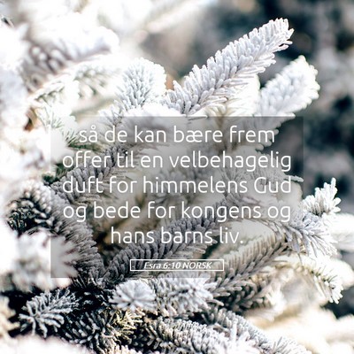 Picture 05 - Esra 6:10 NORSK - så de kan bære frem offer til en velbehagelig - Bible Verse Picture