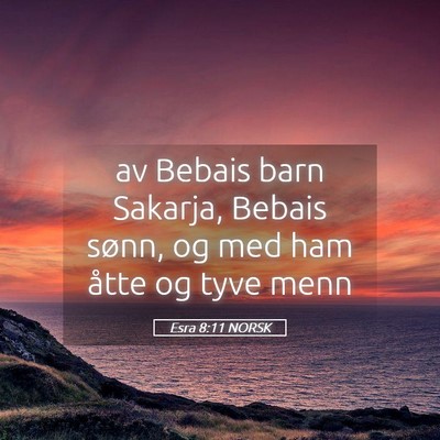 Picture 05 - Esra 8:11 NORSK - av Bebais barn Sakarja, Bebais sønn, og med ham - Bible Verse Picture