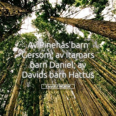 Picture 05 - Esra 8:2 NORSK - Av Pinehas'barn Gersom; av Itamars barn Daniel; - Bible Verse Picture