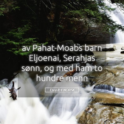 Picture 05 - Esra 8:4 NORSK - av Pahat-Moabs barn Eljoenai, Serahjas sønn, og - Bible Verse Picture