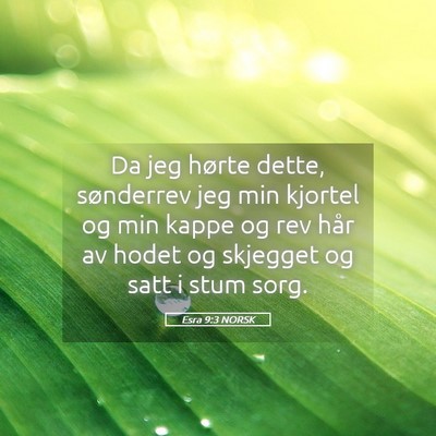 Picture 05 - Esra 9:3 NORSK - Da jeg hørte dette, sønderrev jeg min kjortel - Bible Verse Picture