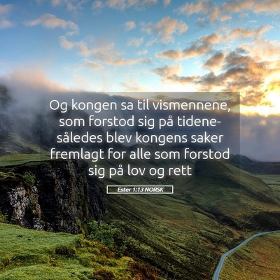Picture 05 - Ester 1:13 NORSK - Og kongen sa til vismennene, som forstod sig på - Bible Verse Picture