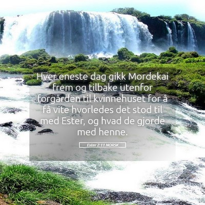 Picture 05 - Ester 2:11 NORSK - Hver eneste dag gikk Mordekai frem og tilbake - Bible Verse Picture