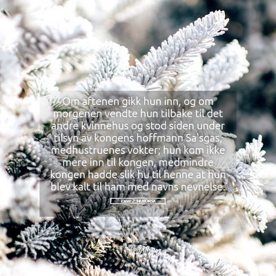 Picture 05 - Ester 2:14 NORSK - Om aftenen gikk hun inn, og om morgenen vendte - Bible Verse Picture