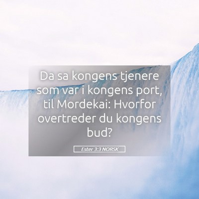 Picture 05 - Ester 3:3 NORSK - Da sa kongens tjenere som var i kongens port, til - Bible Verse Picture