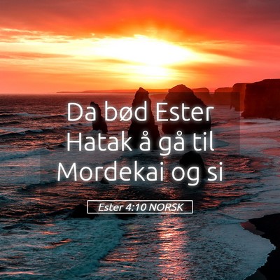 Picture 05 - Ester 4:10 NORSK - Da bød Ester Hatak å gå til Mordekai og - Bible Verse Picture