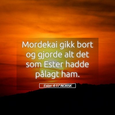 Picture 05 - Ester 4:17 NORSK - Mordekai gikk bort og gjorde alt det som Ester - Bible Verse Picture