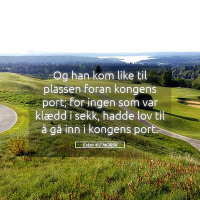 Picture 05 - Ester 4:2 NORSK - Og han kom like til plassen foran kongens port; - Bible Verse Picture