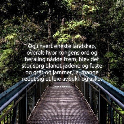 Picture 05 - Ester 4:3 NORSK - Og i hvert eneste landskap, overalt hvor kongens - Bible Verse Picture