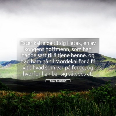 Picture 05 - Ester 4:5 NORSK - Ester kalte da til sig Hatak, en av kongens - Bible Verse Picture