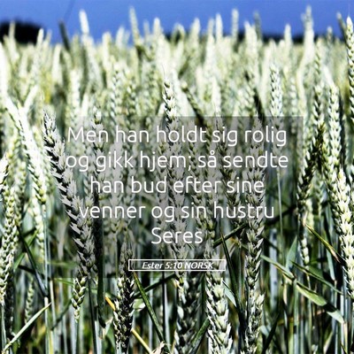 Picture 05 - Ester 5:10 NORSK - Men han holdt sig rolig og gikk hjem; så sendte - Bible Verse Picture