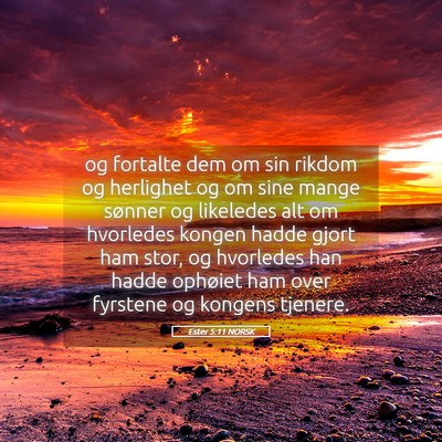 Picture 05 - Ester 5:11 NORSK - og fortalte dem om sin rikdom og herlighet og om - Bible Verse Picture