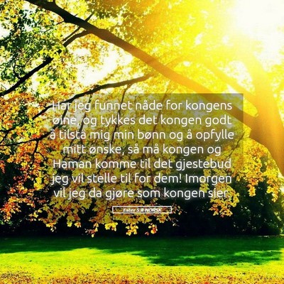 Picture 05 - Ester 5:8 NORSK - Har jeg funnet nåde for kongens øine, og tykkes - Bible Verse Picture