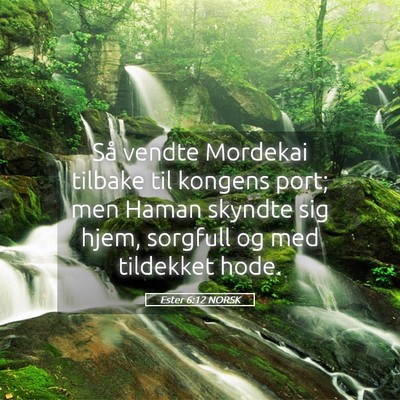Picture 05 - Ester 6:12 NORSK - Så vendte Mordekai tilbake til kongens port; men - Bible Verse Picture