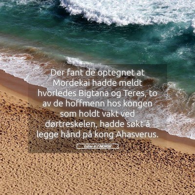 Picture 05 - Ester 6:2 NORSK - Der fant de optegnet at Mordekai hadde meldt - Bible Verse Picture