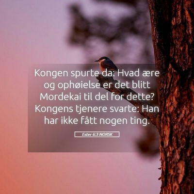 Picture 05 - Ester 6:3 NORSK - Kongen spurte da: Hvad ære og ophøielse er det - Bible Verse Picture