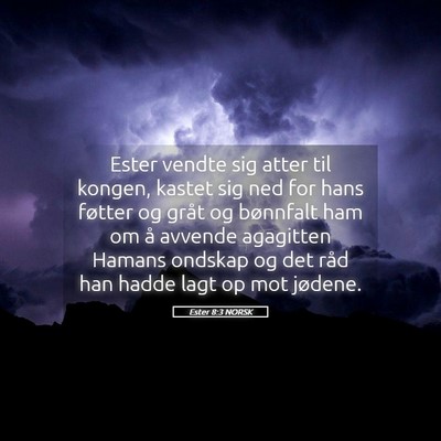 Picture 05 - Ester 8:3 NORSK - Ester vendte sig atter til kongen, kastet sig ned - Bible Verse Picture