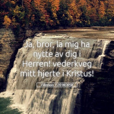 Picture 05 - Filemon 1:20 NORSK - Ja, bror, la mig ha nytte av dig i Herren! - Bible Verse Picture