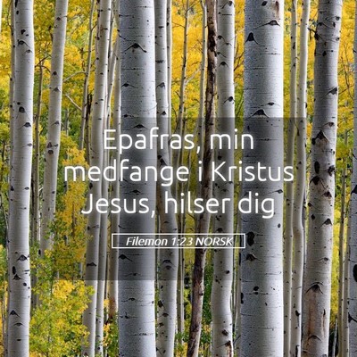 Picture 05 - Filemon 1:23 NORSK - Epafras, min medfange i Kristus Jesus, hilser - Bible Verse Picture