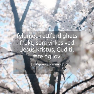 Picture 05 - Filipperne 1:11 NORSK - fylt med rettferdighets frukt, som virkes ved - Bible Verse Picture