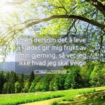 Picture 05 - Filipperne 1:22 NORSK - men dersom det å leve i kjødet gir mig frukt av - Bible Verse Picture