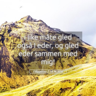 Picture 05 - Filipperne 2:18 NORSK - i like måte gled også I eder, og gled eder - Bible Verse Picture