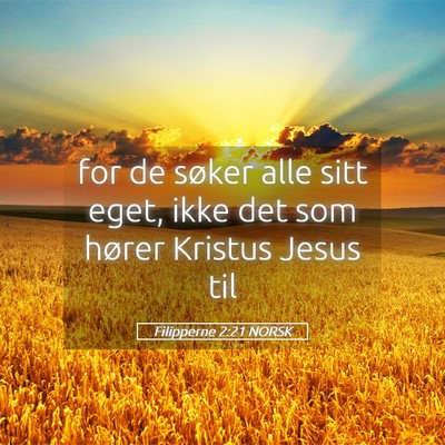 Picture 05 - Filipperne 2:21 NORSK - for de søker alle sitt eget, ikke det som hører - Bible Verse Picture