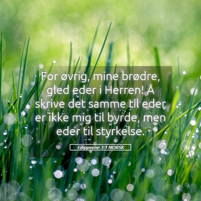 Picture 05 - Filipperne 3:1 NORSK - For øvrig, mine brødre, gled eder i Herren! Å - Bible Verse Picture