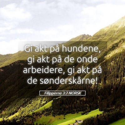 Picture 05 - Filipperne 3:2 NORSK - Gi akt på hundene, gi akt på de onde arbeidere, - Bible Verse Picture
