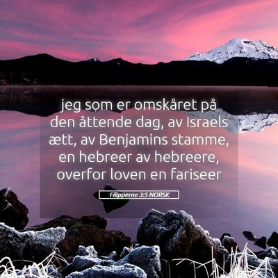Picture 05 - Filipperne 3:5 NORSK - jeg som er omskåret på den åttende dag, av - Bible Verse Picture