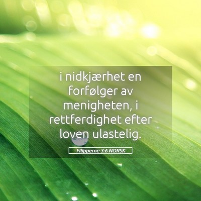 Picture 05 - Filipperne 3:6 NORSK - i nidkjærhet en forfølger av menigheten, i - Bible Verse Picture