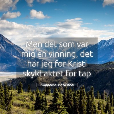 Picture 05 - Filipperne 3:7 NORSK - Men det som var mig en vinning, det har jeg for - Bible Verse Picture