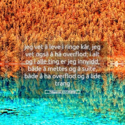 Picture 05 - Filipperne 4:12 NORSK - jeg vet å leve i ringe kår, jeg vet også å ha - Bible Verse Picture