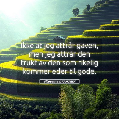 Picture 05 - Filipperne 4:17 NORSK - Ikke at jeg attrår gaven, men jeg attrår den - Bible Verse Picture