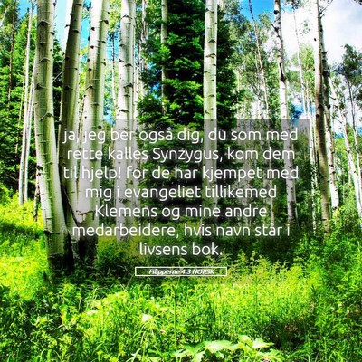 Picture 05 - Filipperne 4:3 NORSK - ja, jeg ber også dig, du som med rette kalles - Bible Verse Picture