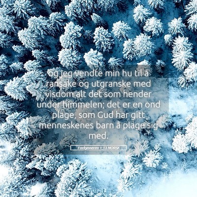 Picture 05 - Forkynneren 1:13 NORSK - og jeg vendte min hu til å ransake og utgranske - Bible Verse Picture