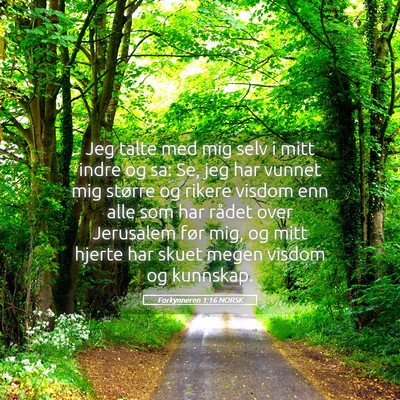 Picture 05 - Forkynneren 1:16 NORSK - Jeg talte med mig selv i mitt indre og sa: Se, - Bible Verse Picture