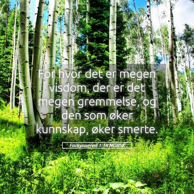 Picture 05 - Forkynneren 1:18 NORSK - For hvor det er megen visdom, der er det megen - Bible Verse Picture