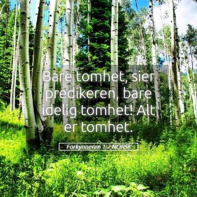 Picture 05 - Forkynneren 1:2 NORSK - Bare tomhet, sier predikeren, bare idelig tomhet! - Bible Verse Picture