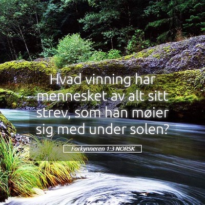 Picture 05 - Forkynneren 1:3 NORSK - Hvad vinning har mennesket av alt sitt strev, som - Bible Verse Picture